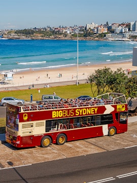 Open-top Big Bus Sydney tour near Bondi Beach with ocean view.