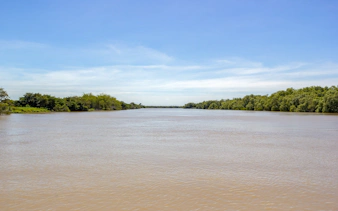 Adelaide River view with lush greenery along the banks, Northern Territory.