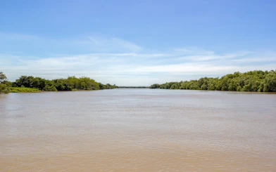 Adelaide River view with lush greenery along the banks, Northern Territory.