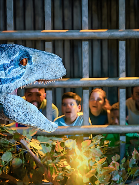 Velociraptor exhibit with visitors at Jurassic World Experience in London.