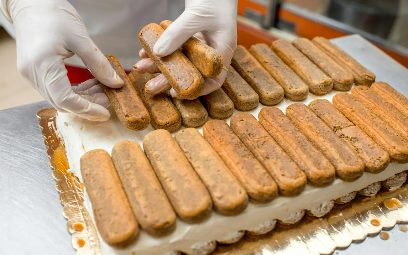 Gloved hands assembling tiramisu with ladyfingers in Orosei cooking class, Nuoro.