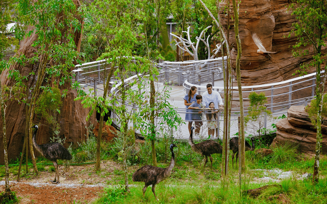 Family observing emus at Shaw Foundation Australian Outback Aviary.