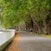 Parc de Wandsworth