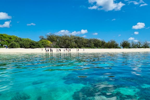 full day tour of lady musgrave island-7
