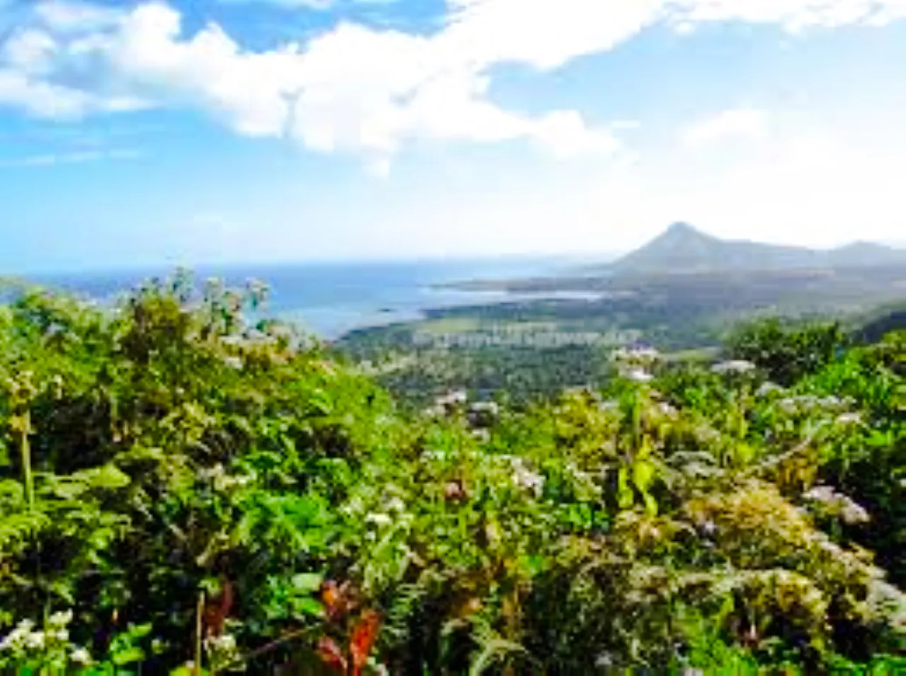 privat tur til le morne brabant og rundtur i det sørvestlige mauritius med lunsj-17