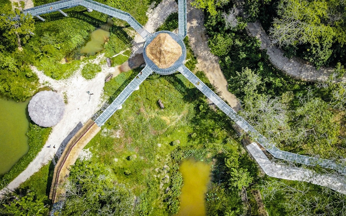 Aerial view of canopy walkway at Elephant Sanctuary, surrounded by lush greenery.