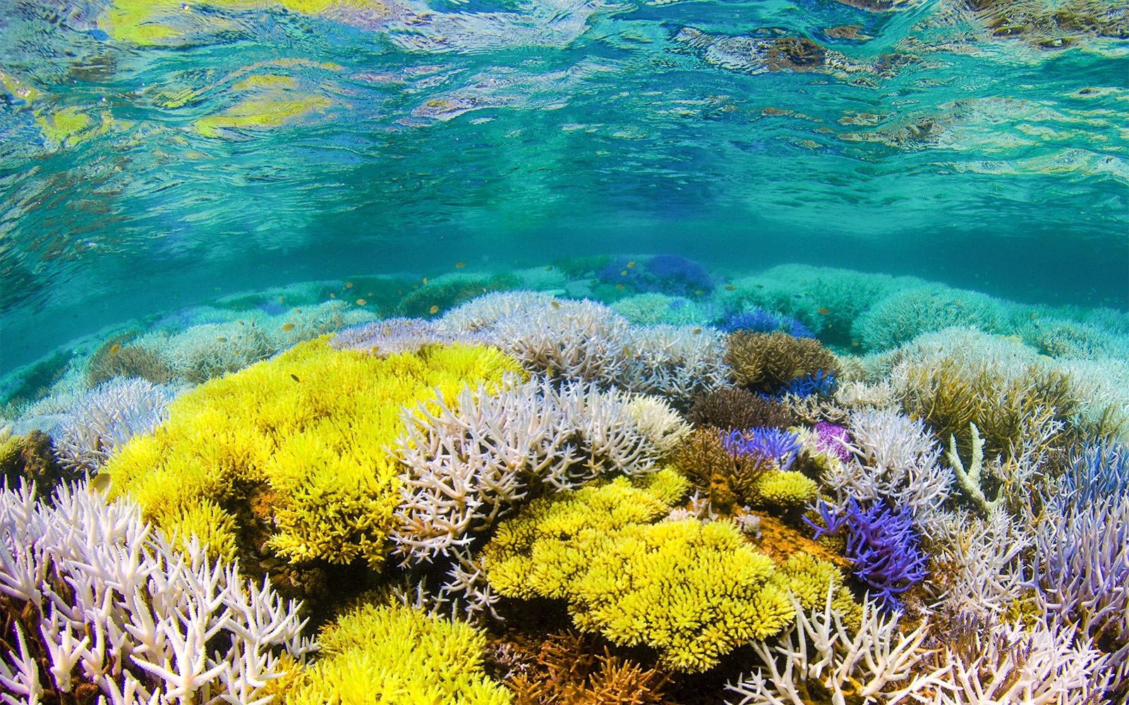 Aquarium Atlantis Madrid