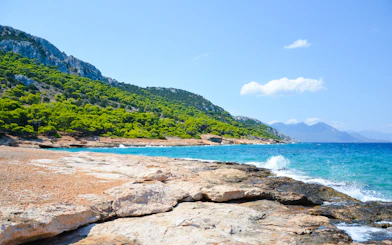Rocky coastline with turquoise waters and lush greenery on Moni Island, Greece.
