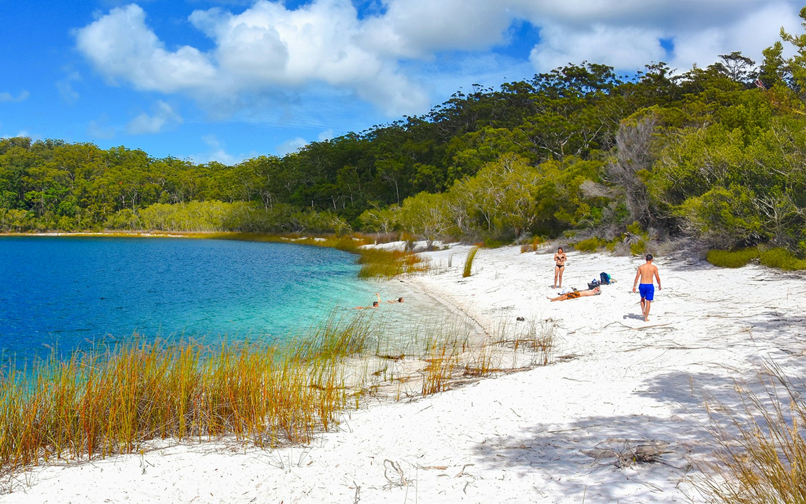 Visitors enjoying the white sandy beach and clear waters of Lake McKenzie, Fraser Island, K'gari.