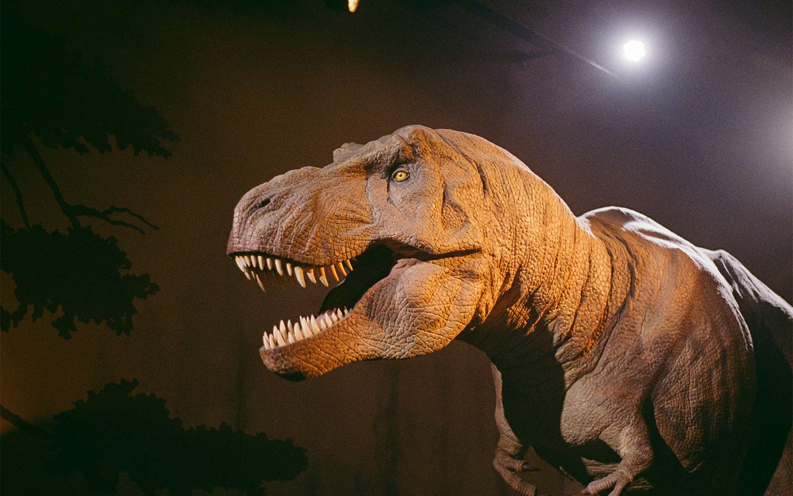 Mixed reality experience of prehistoric exhibit at Natural History Museum, London.