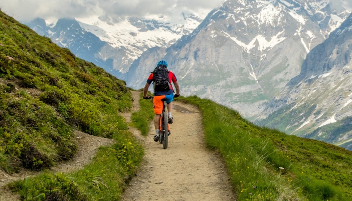 Mountain Trottibike