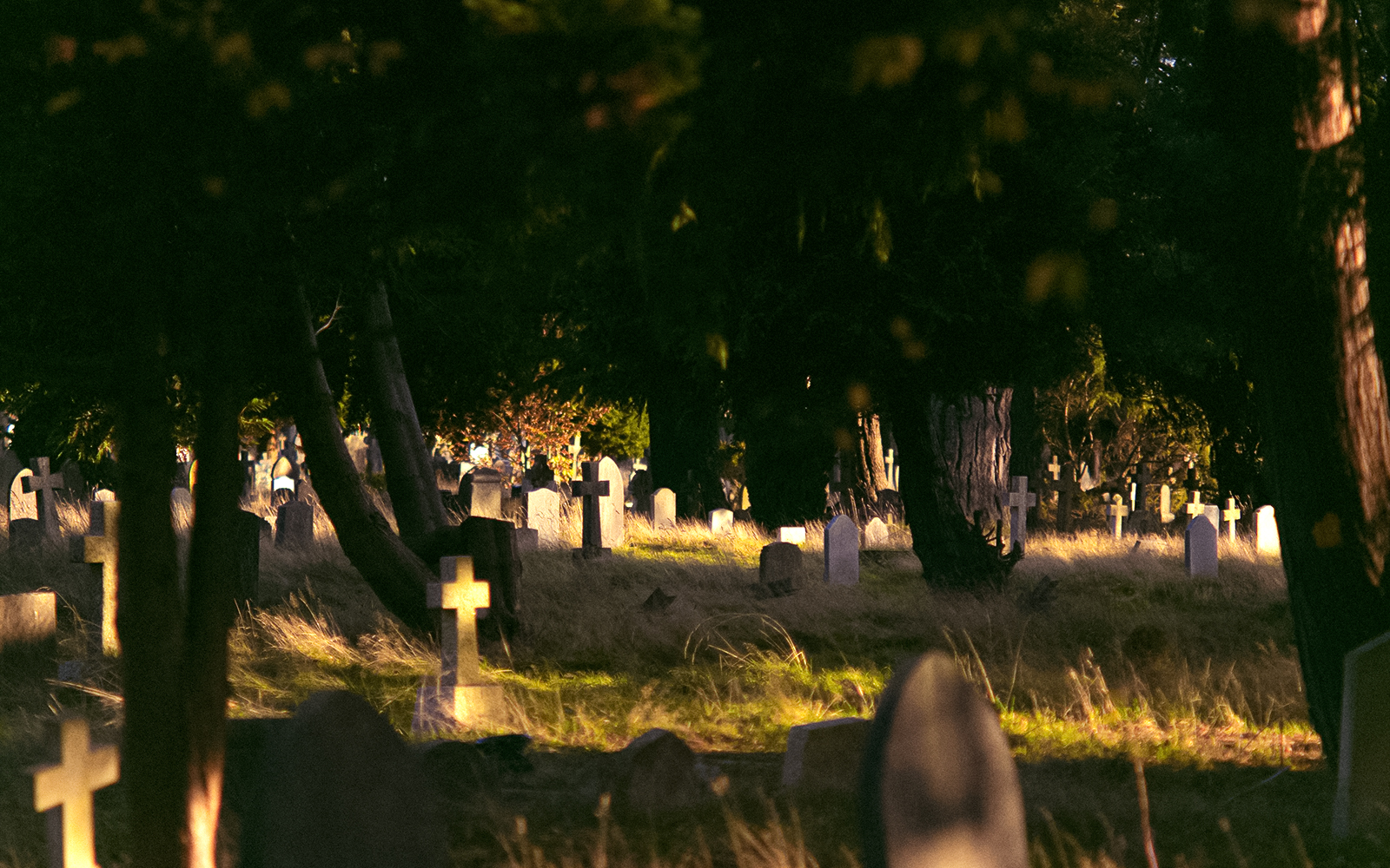 Cemetery with gravestones and trees at dusk.