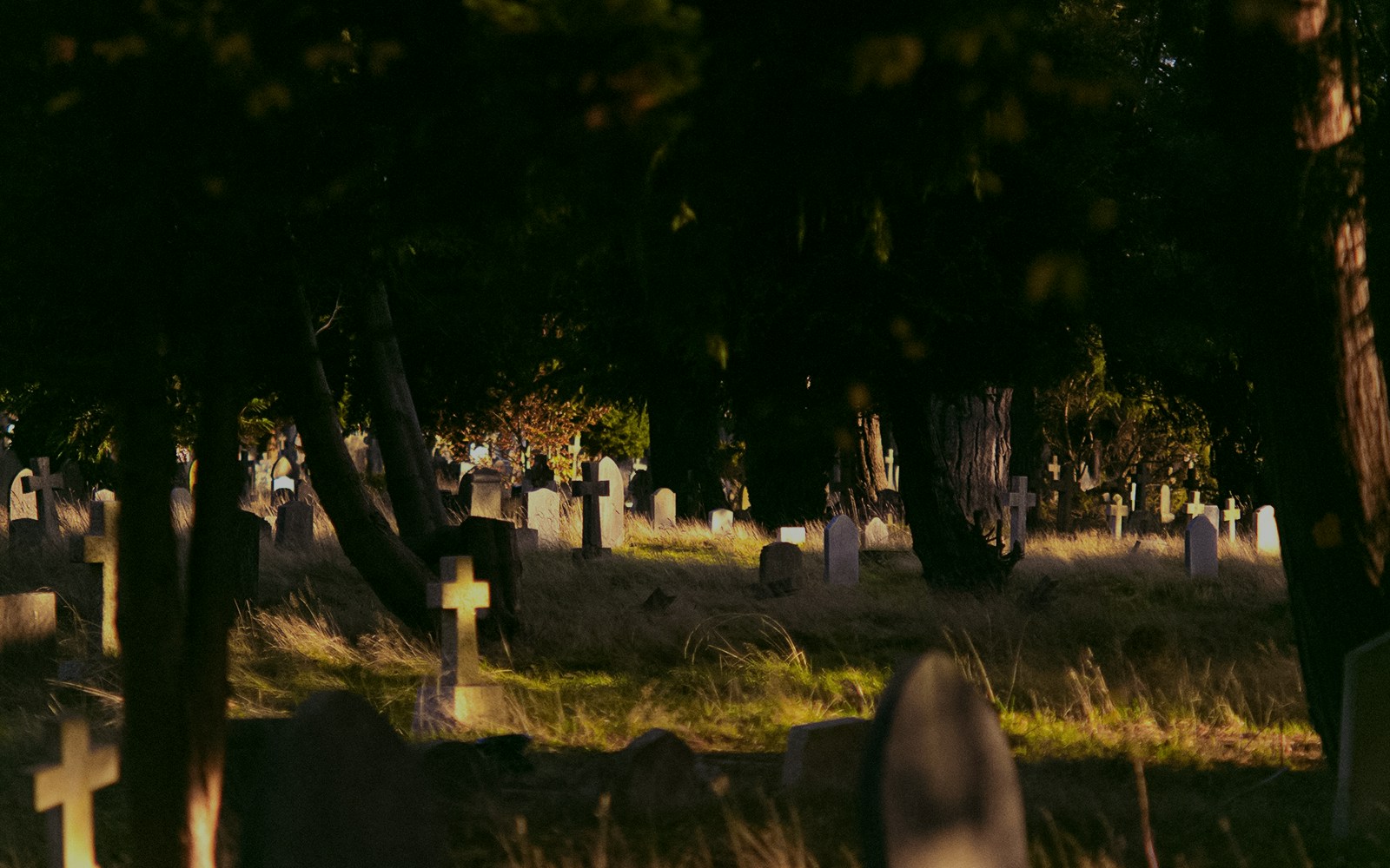 Cemetery with gravestones and trees at dusk.