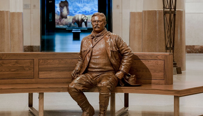 Theodore Roosevelt Memorial Hall interior, New York City.