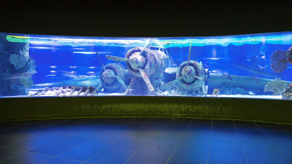 History of Antalya Aquarium