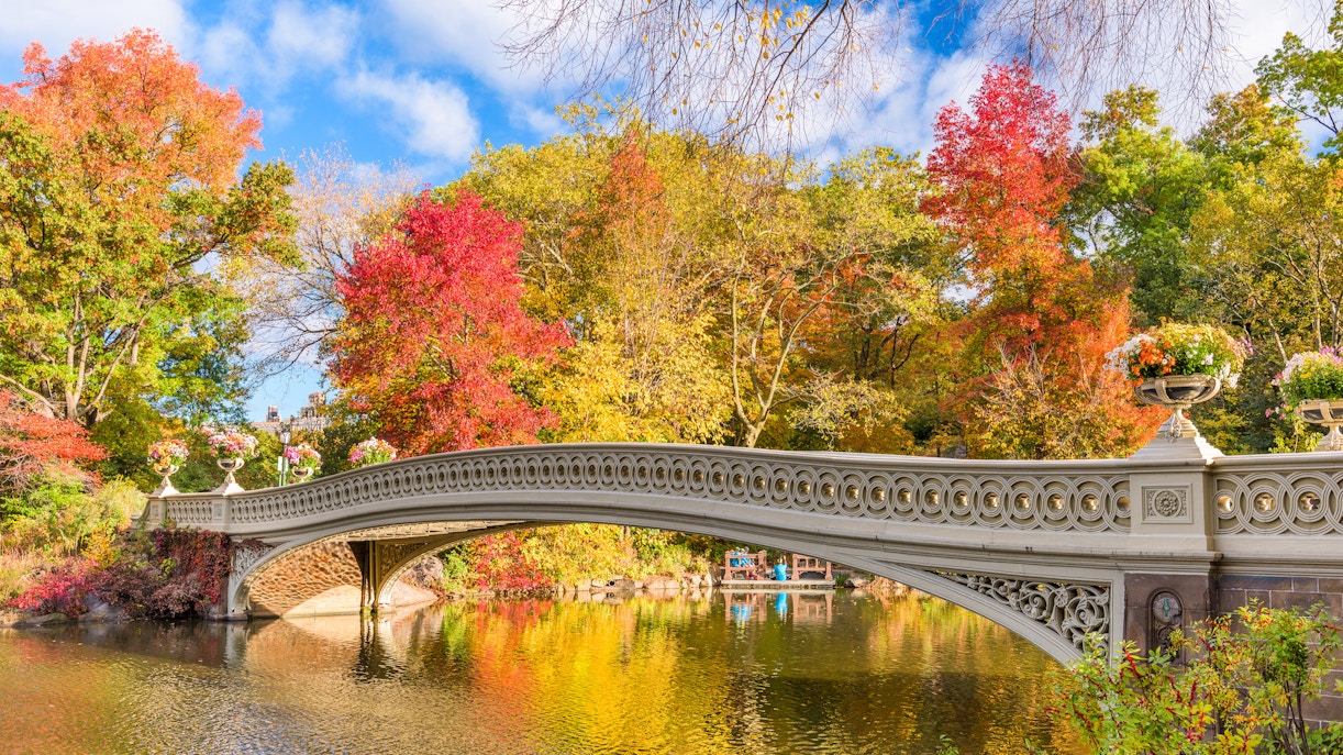 Nearby Guggenheim Museum