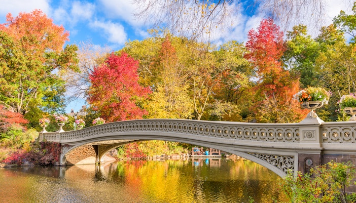 NYC Bike Tour