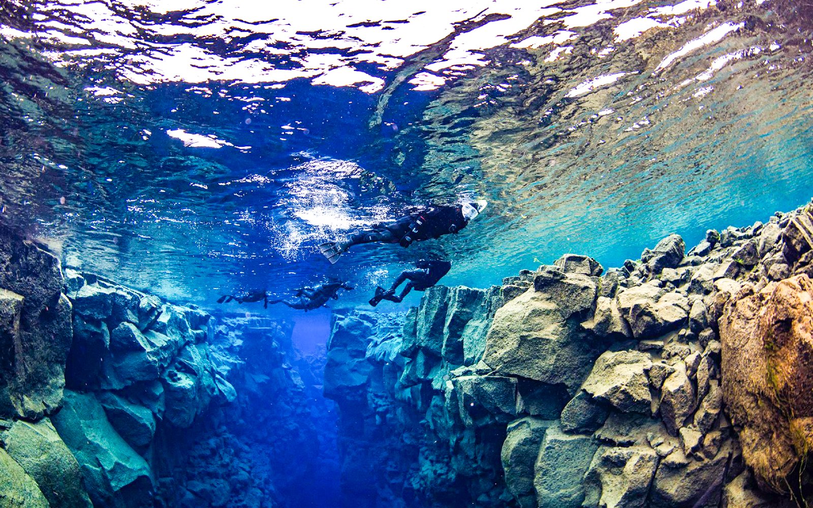Snorkelers exploring underwater rift during Snorkeling between two continents tour.