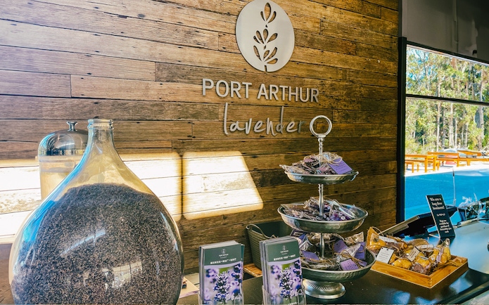 Port Arthur Lavender Farm display with lavender products and brochures.