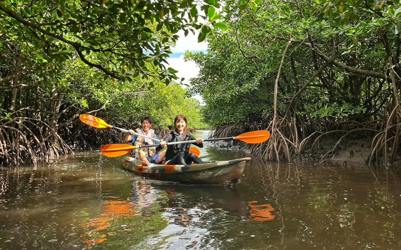 Two people canoeing through mangrove forest on Iriomote Island, Okinawa.