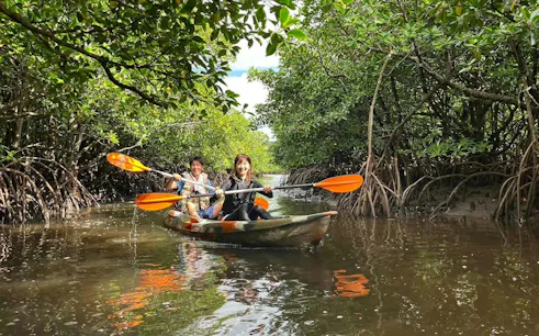 Two people canoeing through mangrove forest on Iriomote Island, Okinawa.