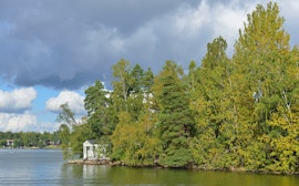 Vasikkasaari