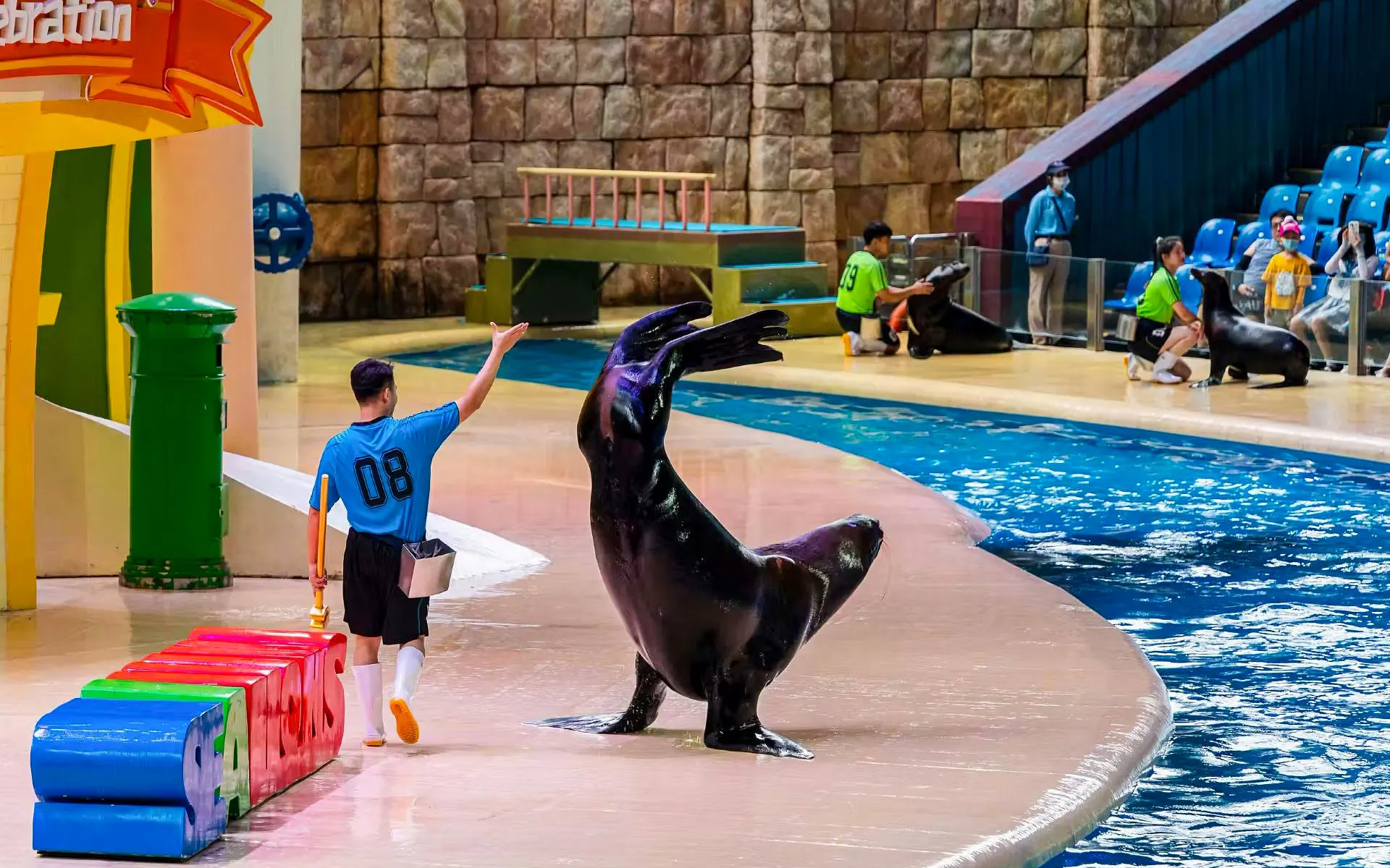 Trainer interacting with sea lion during show at Zhuhai Chimelong Ocean Kingdom.