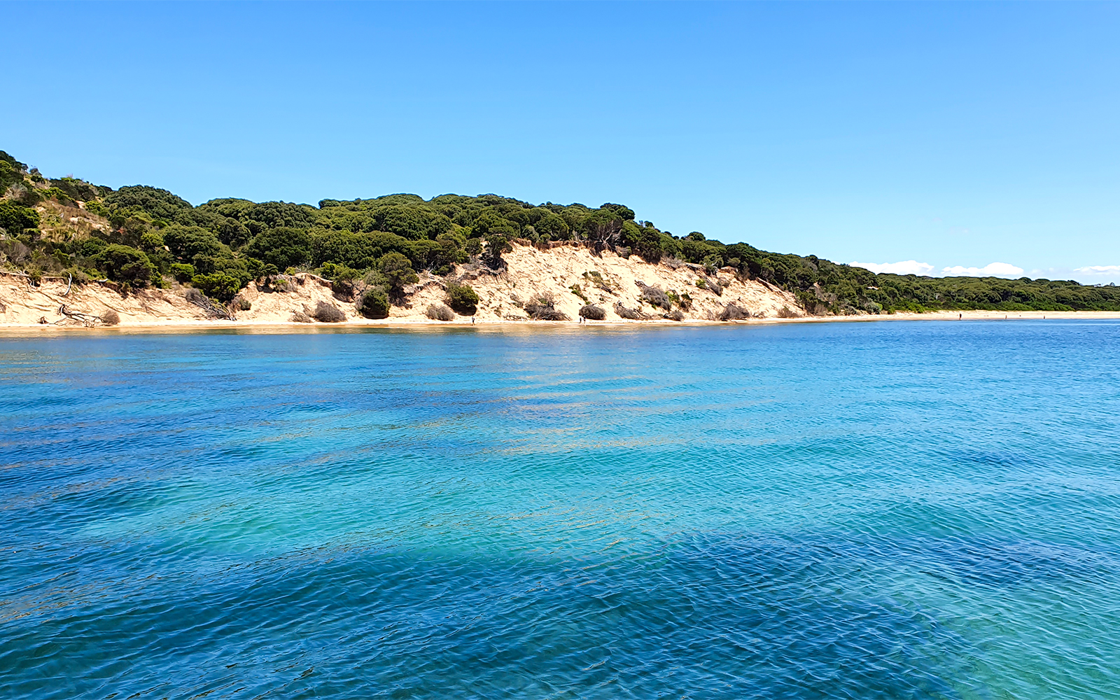 Cape Woolamai coastline with clear blue water, Phillip Island, Australia.