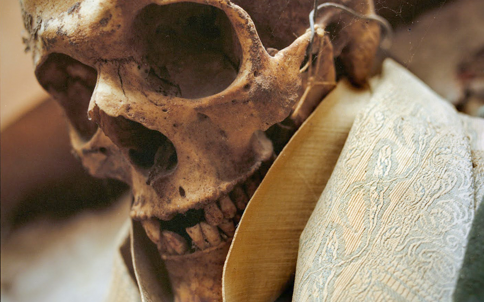 Skull in Capuchin Crypt, Rome, with detailed robe fabric.