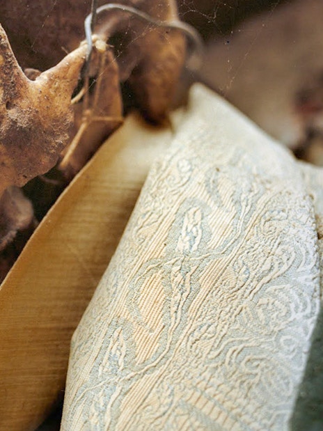 Skull in Capuchin Crypt, Rome, with detailed robe fabric.