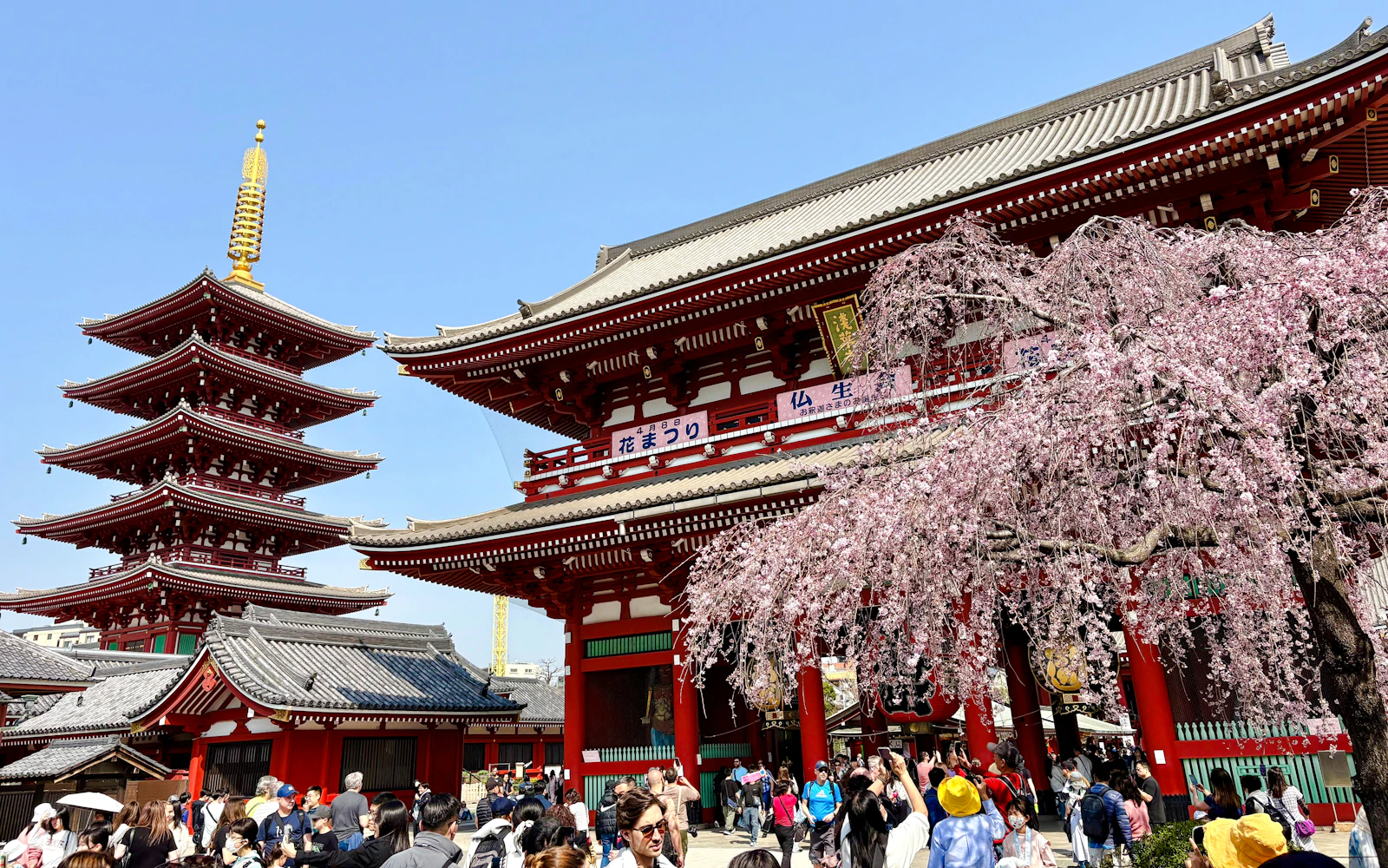 Tokyo Private Half-Day Tour by Luxury Alphard with Local Guide