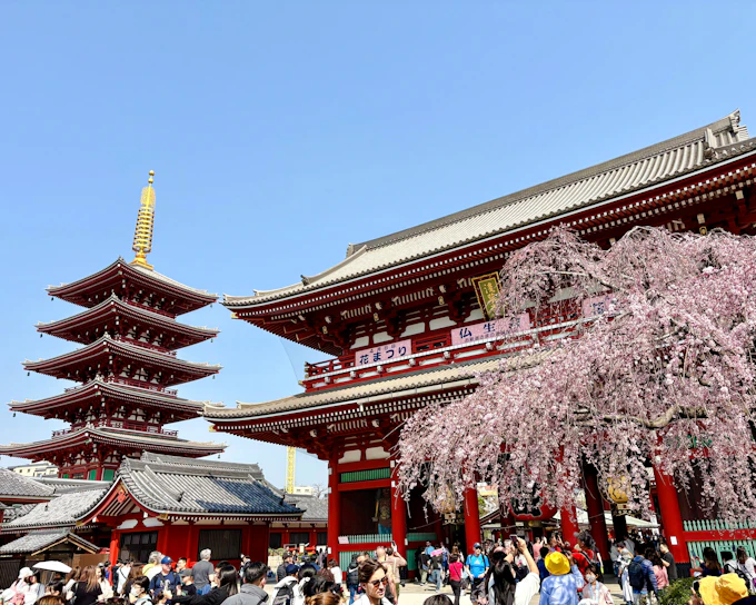 Tokyo Private Half-Day Tour in a Toyota Alphard Minivan with Local Guide