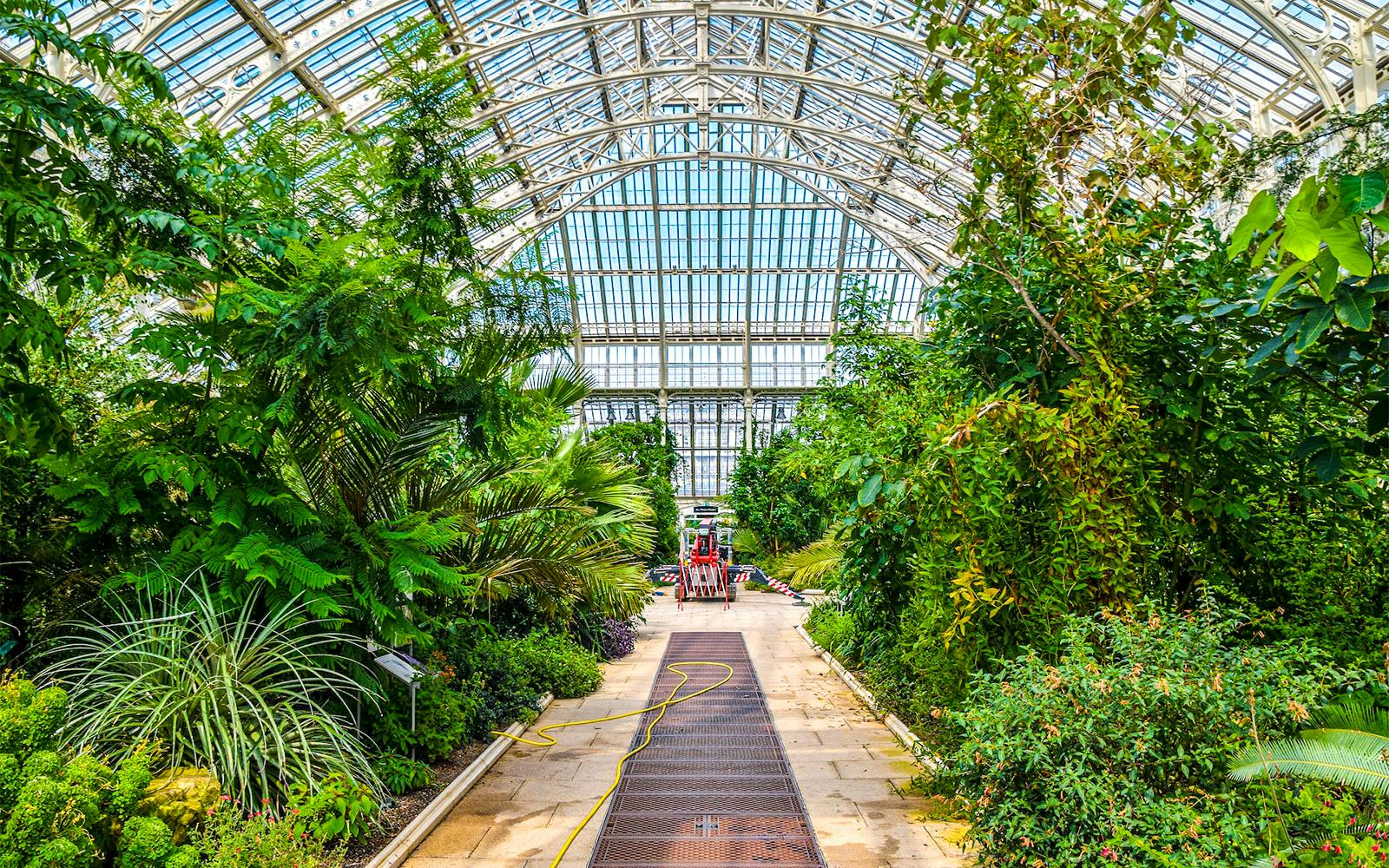 See over 50,000 plants