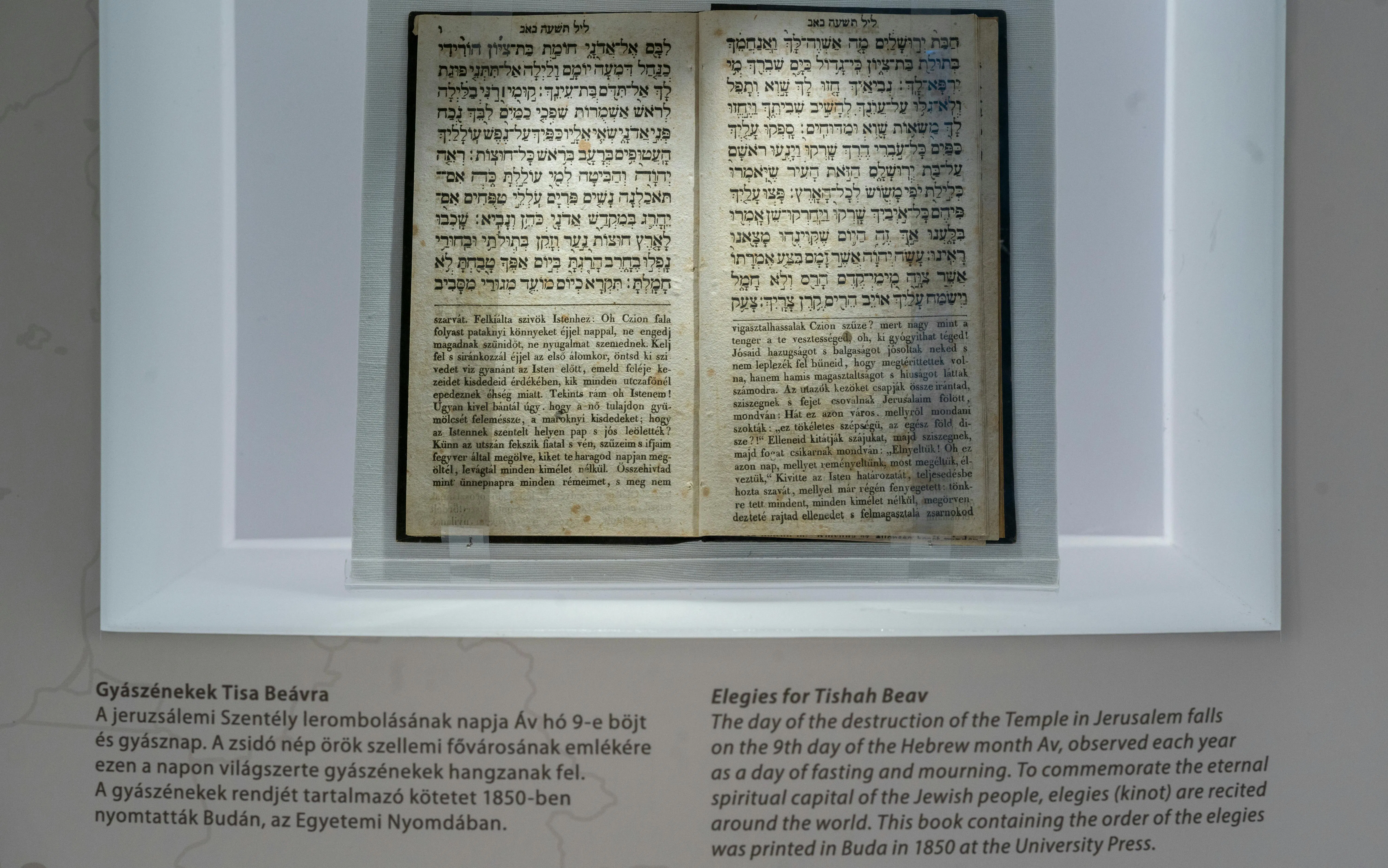 Musée juif