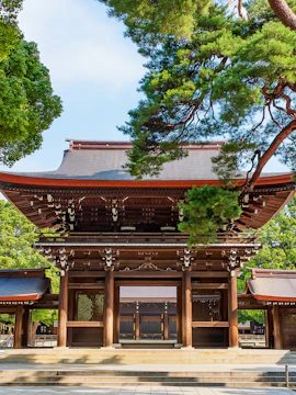 Meiji Shrine entrance in Tokyo surrounded by lush greenery.