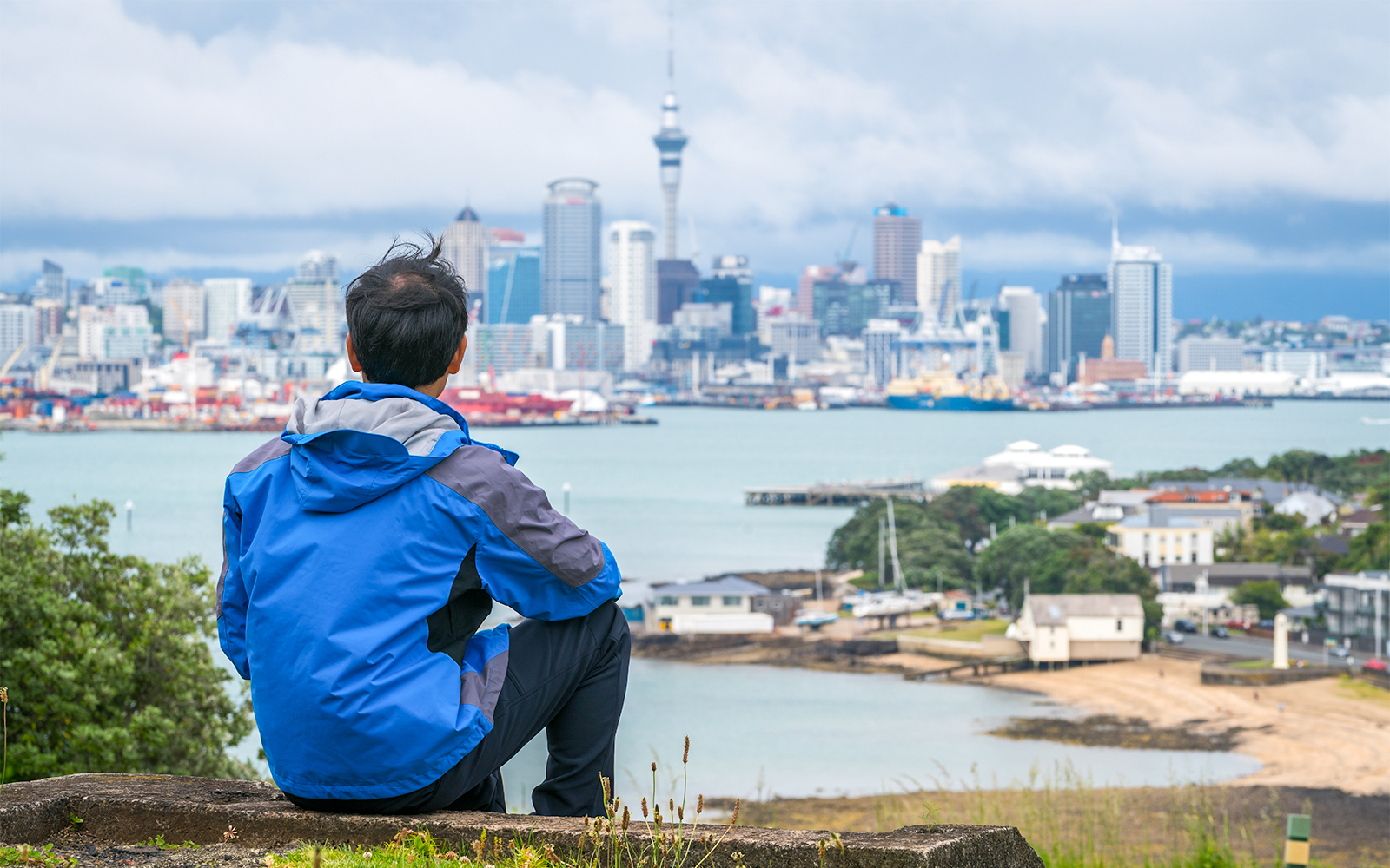 Auckland vista dall'alto - hop on hop off auckland