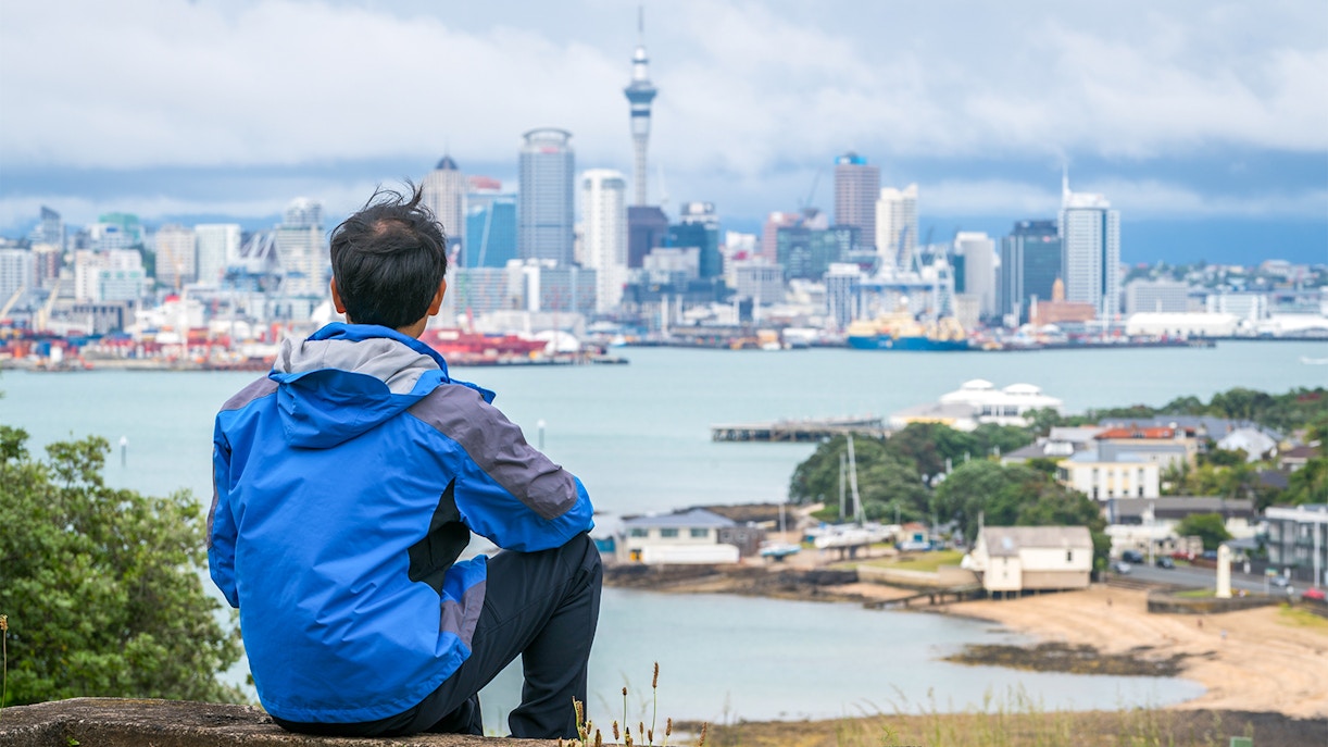 New Zealand Hop On Hop Off Tours