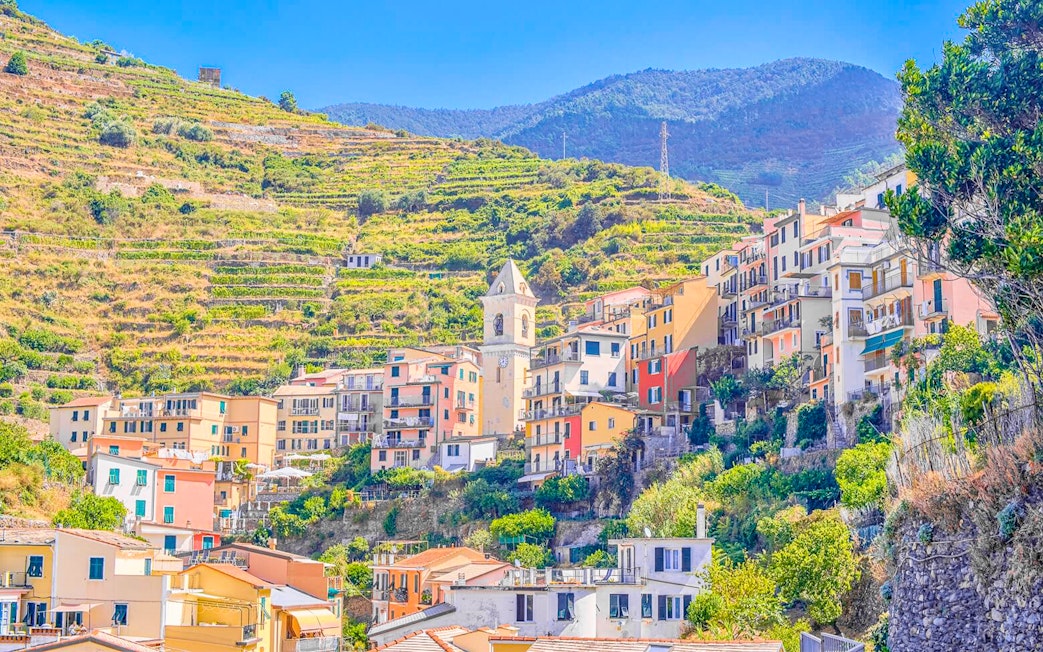 Colorful hillside village in Cinque Terre with terraced vineyards and a church tower.