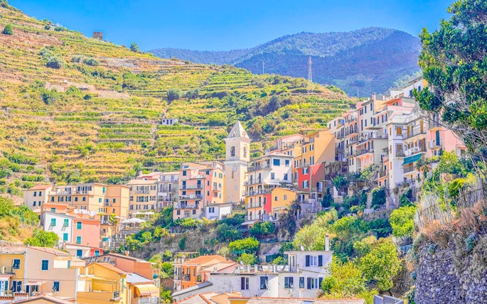 Colorful hillside village in Cinque Terre with terraced vineyards and a church tower.