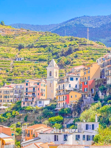 Colorful hillside village in Cinque Terre with terraced vineyards and a church tower.
