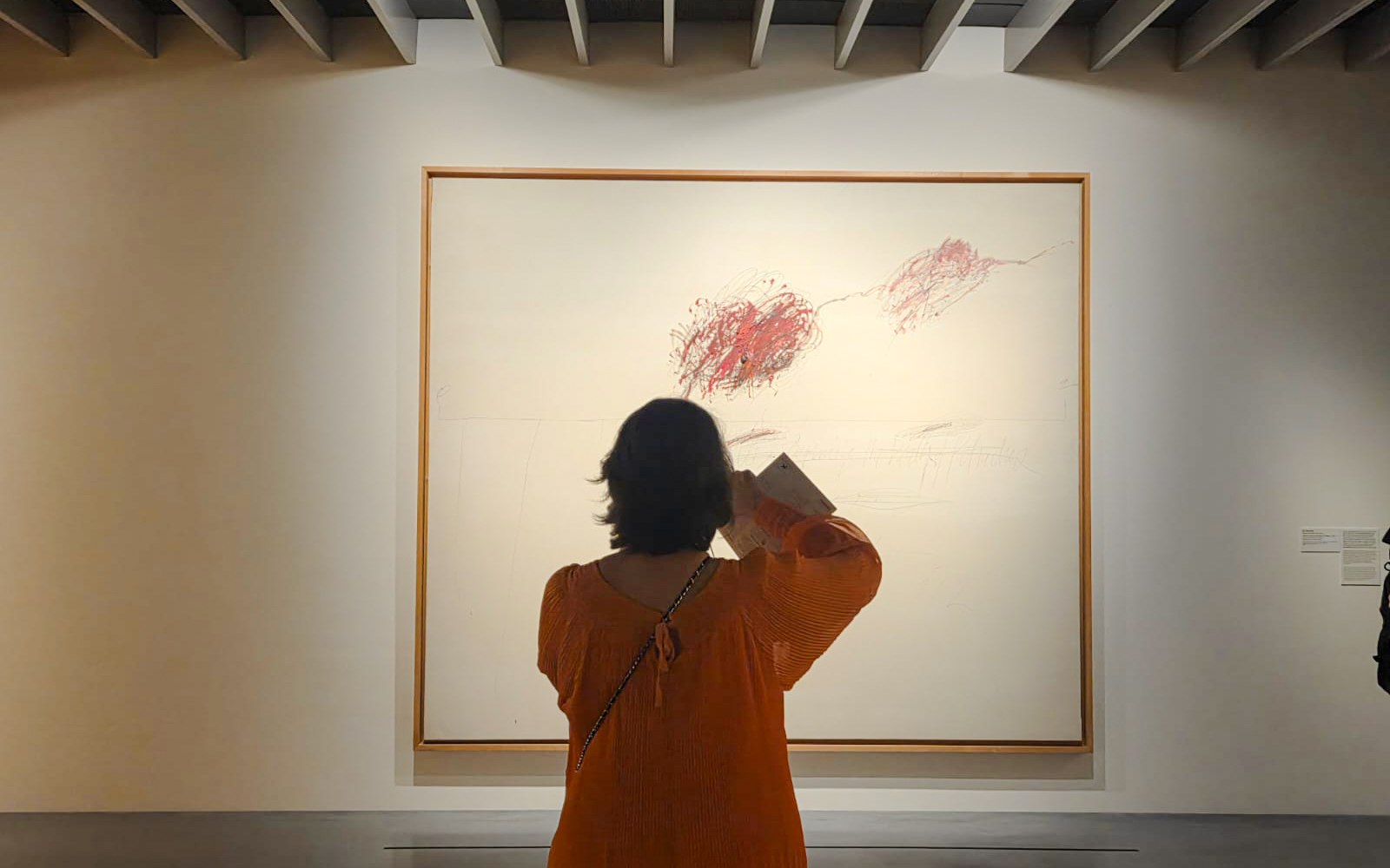 Visitor viewing abstract art at Centre Pompidou Malaga exhibition interior.