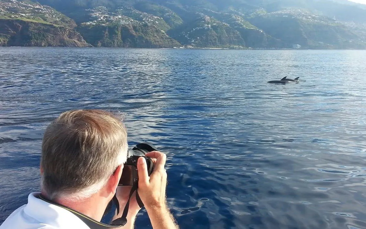 Tourist photographing dolphins from boat during Madeira whale watching tour.
