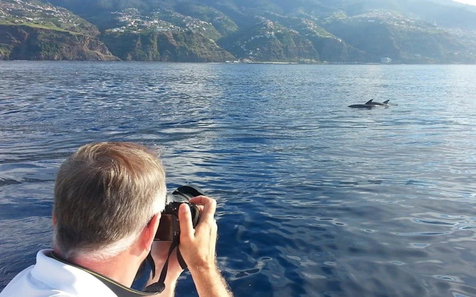 Tourist photographing dolphins from boat during Madeira whale watching tour.