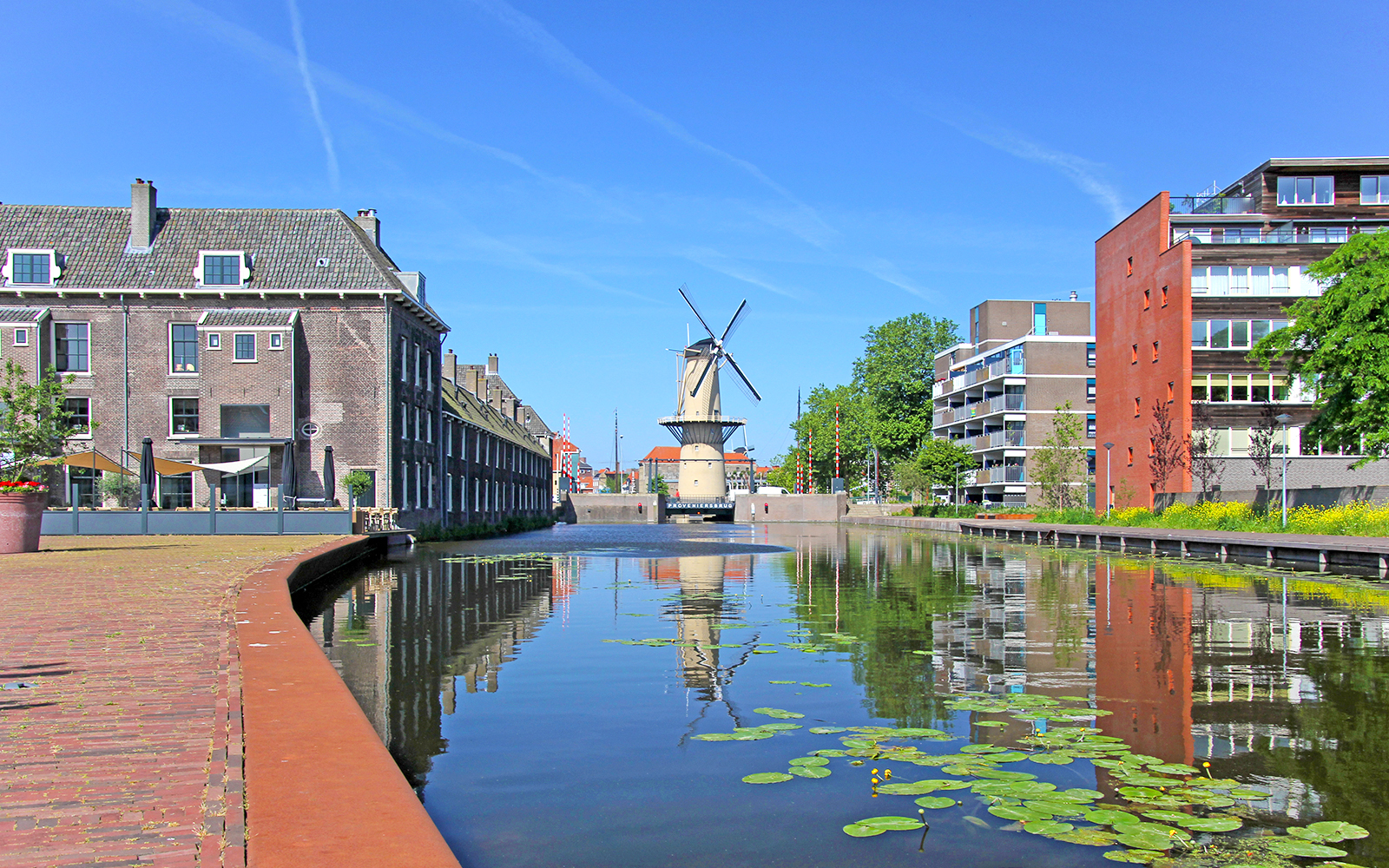 Schiedam