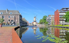 Schiedam