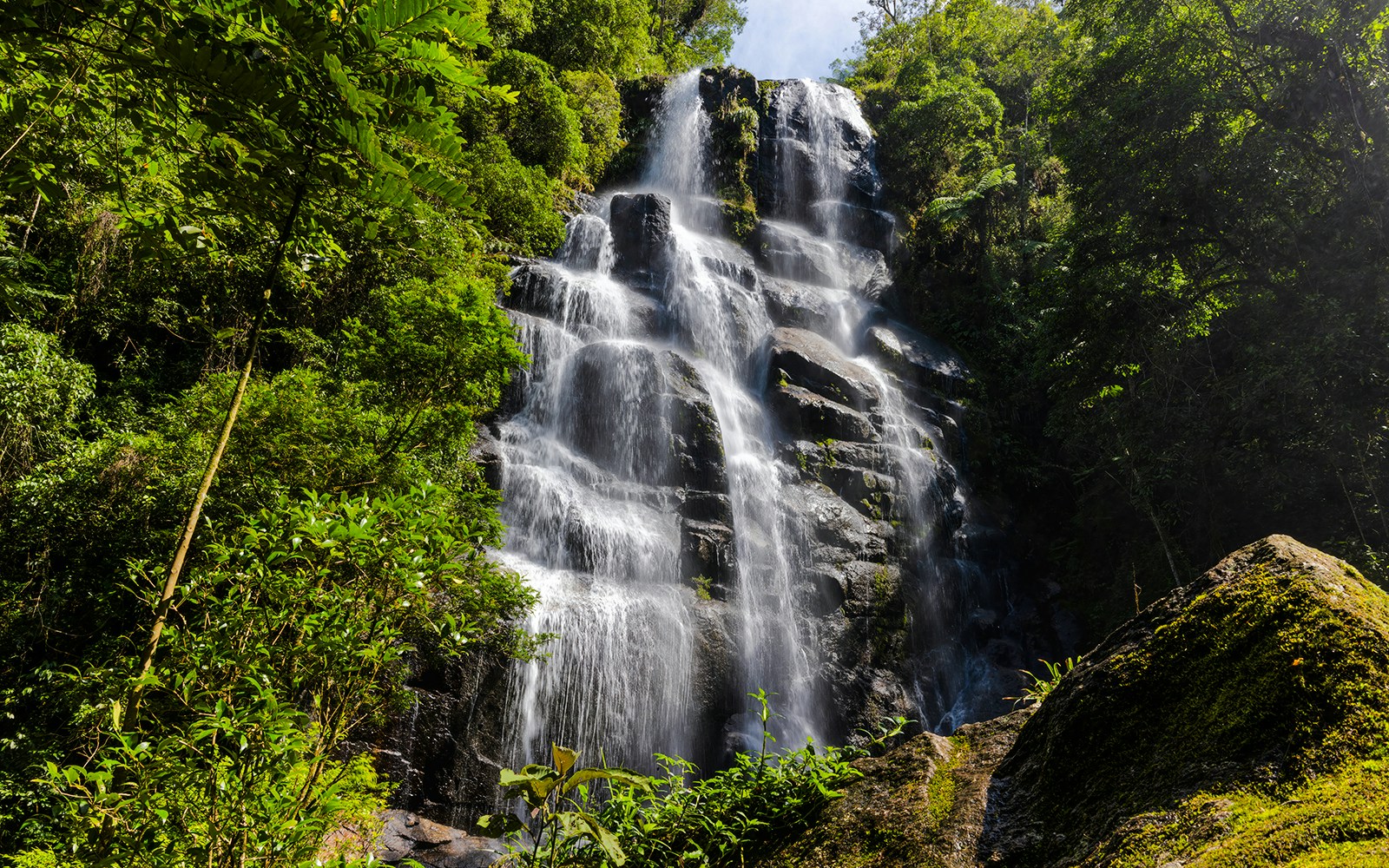 Cachoeira Véu da Noiva Waterfalls cascading in Tijuca National Park, surrounded by lush greenery.
