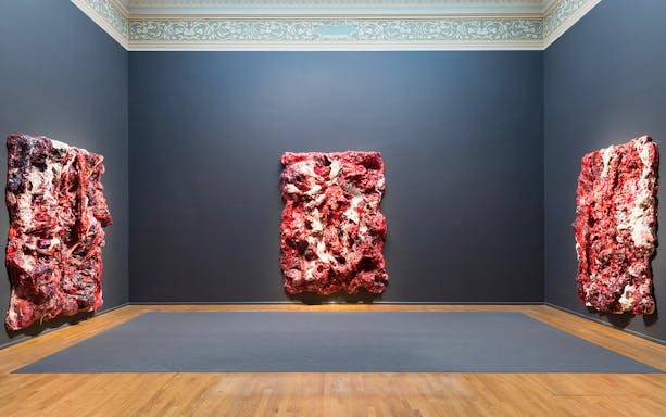 Anish Kapoor's "Untrue Unreal" exhibition featuring textured red sculptures on dark walls.