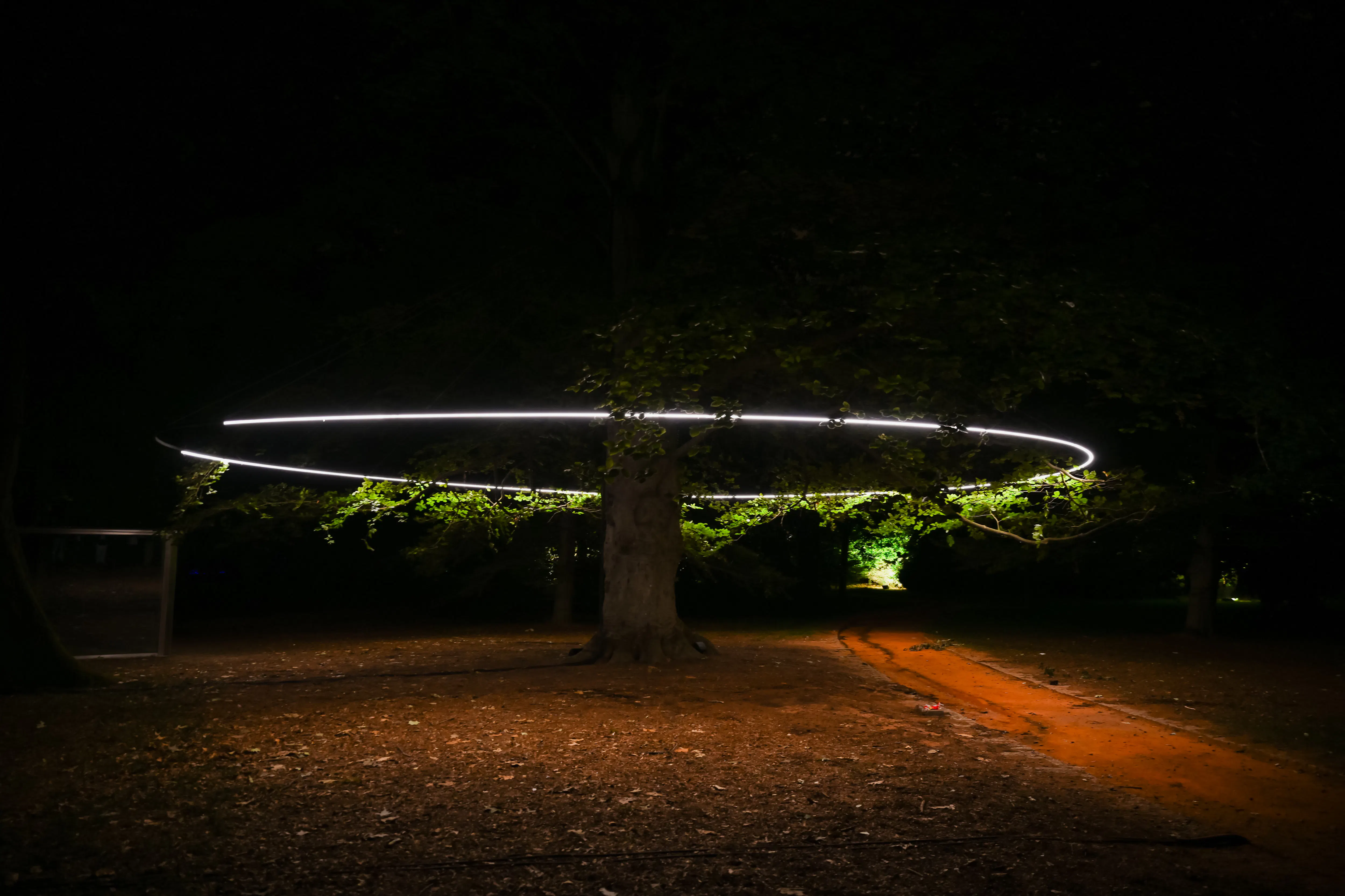Serralves in Light 2026 Tickets Image 12