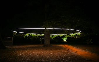 „serralves in light 2026“ – tickets-12