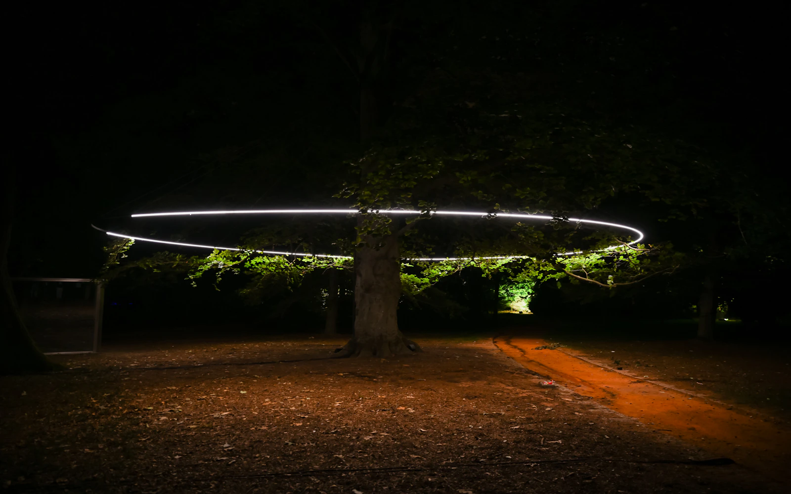 Serralves in Light 2026 Tickets Image 12